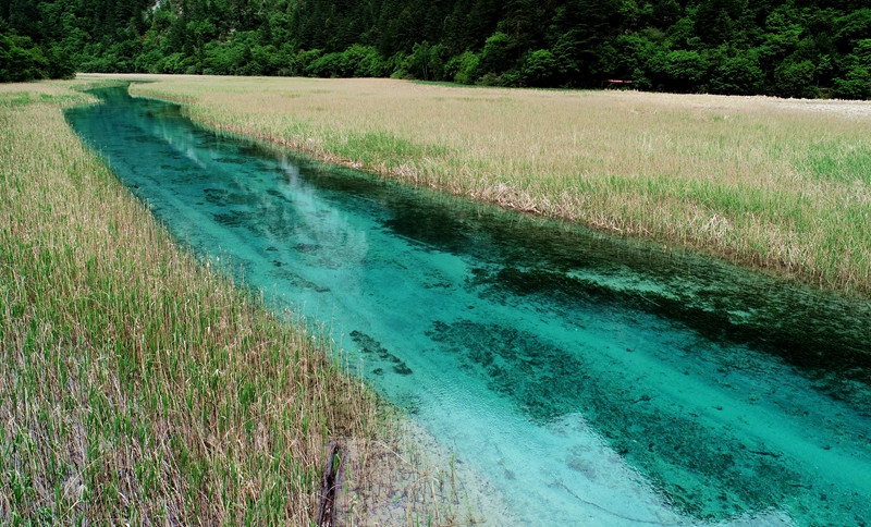 九寨沟旅游怎么购票 (九寨沟旅游散客如何购票)