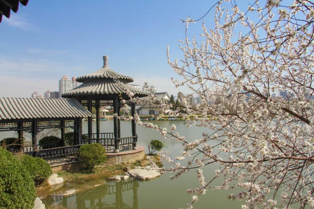 天津东疆港亲海公园今天开放吗,天津即将完工的公园