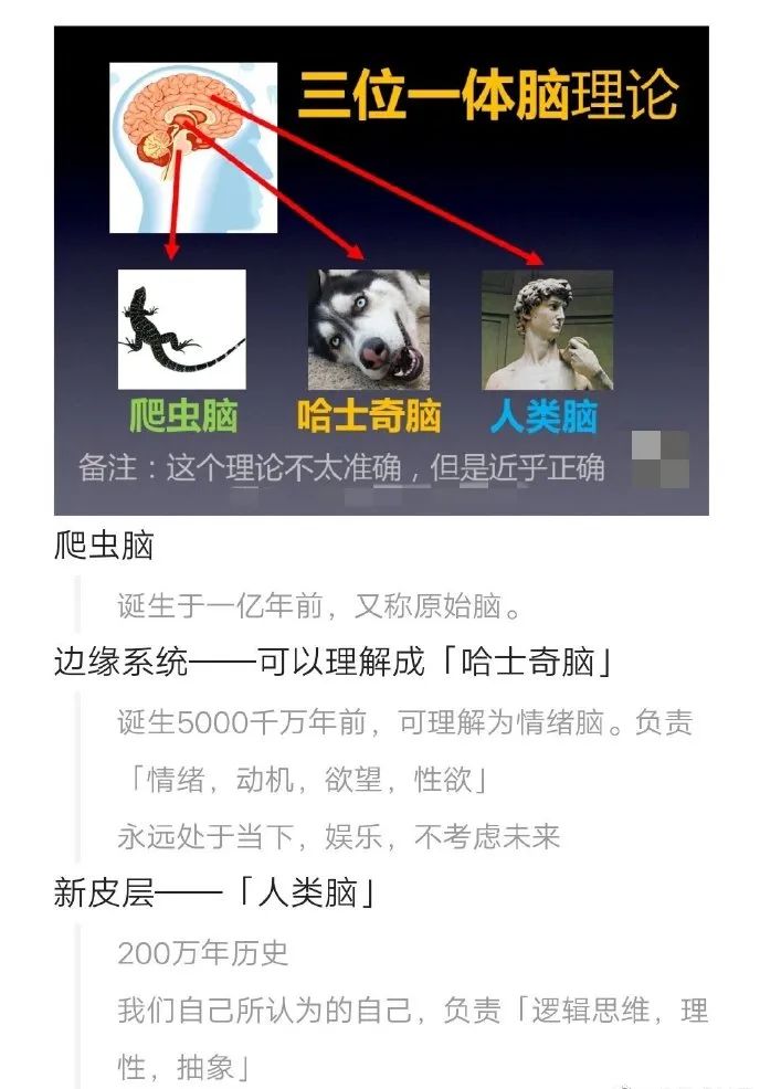 聊天话题大全和男生聊天话术900句,聊天话术让别人感觉你很懂他