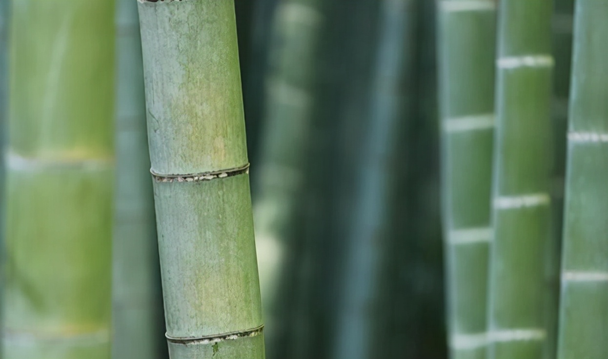 男人出轨冷落自己该怎么应对呢,当男人冷落你时最好的回击方式