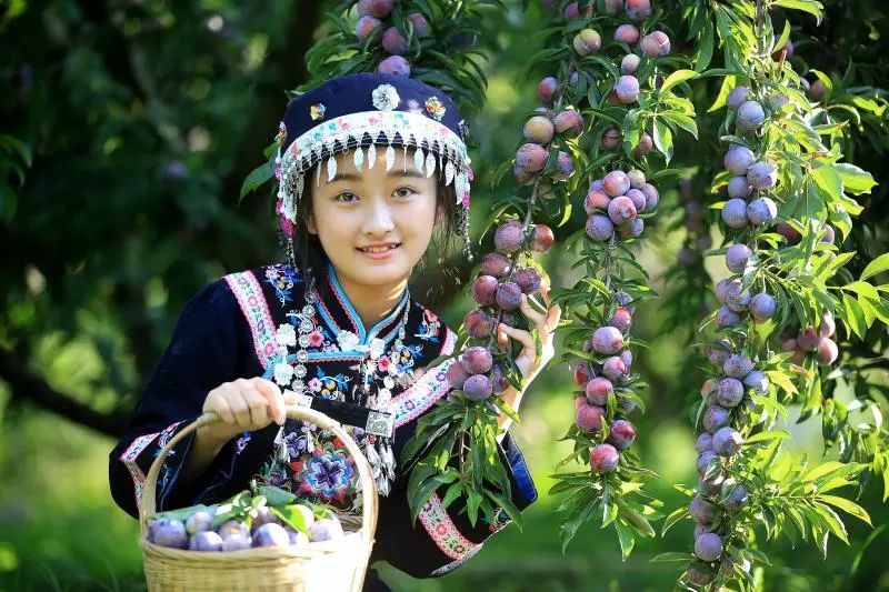 天峨蓝衣壮族服饰,天峨县蓝衣壮族服饰制作技艺来历