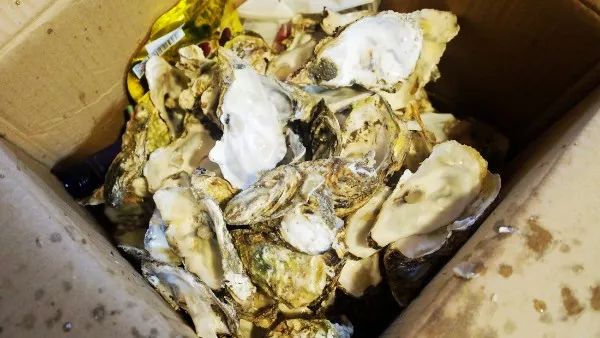湖南口味生蚝怎么做好吃,什么口味的生蚝最好吃