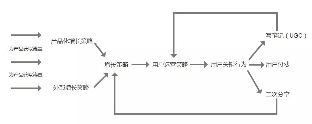 得到app管理课程,得到app运营团队
