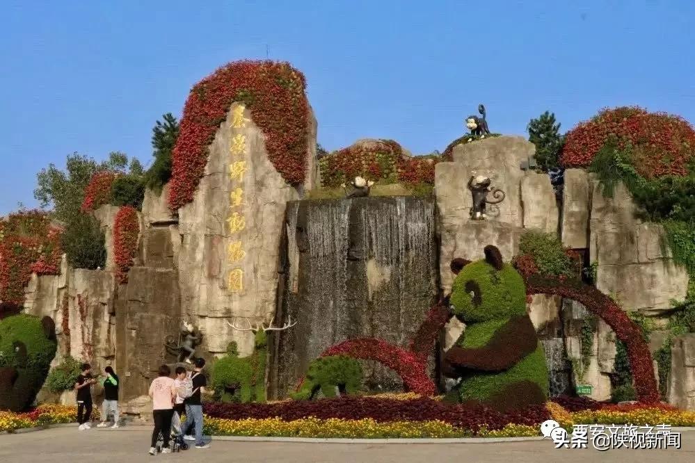 好消息！西安旅游景区向全国医务工作者全年免费开放！包括兵马俑、华清宫、大雁塔、西安城墙等5*级A**景区……