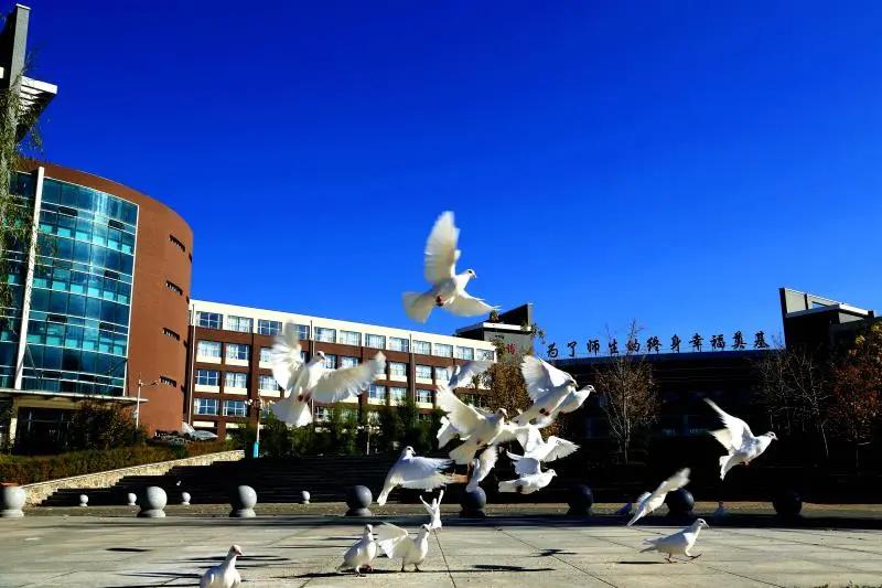 崛起实验中学如何,长春崛起之路