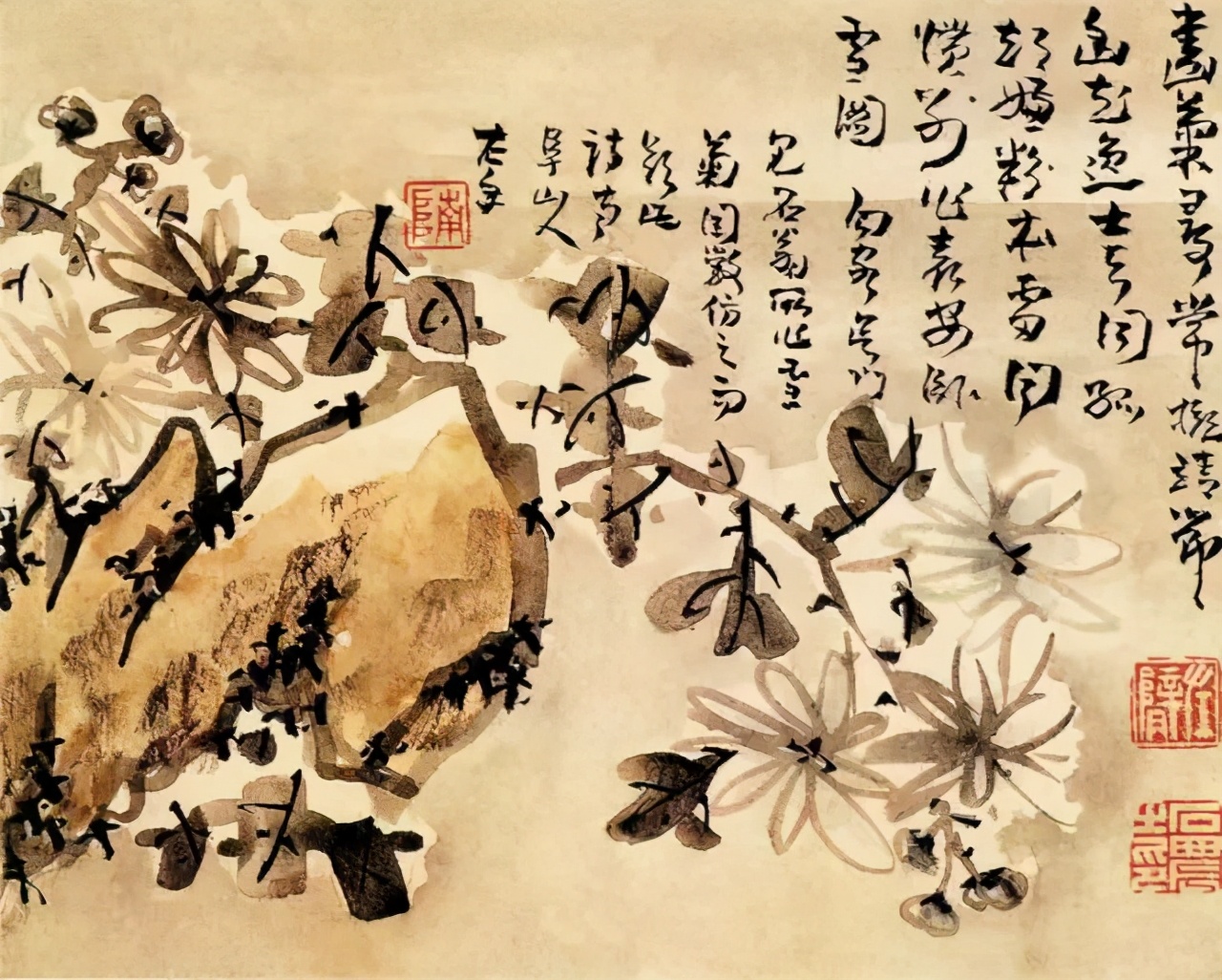 菊傲风霜品自高——菊花入画简说