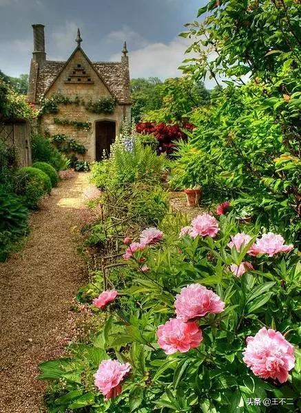 远赴人间盛宴谈笑风生不动情,远赴人间惊鸿宴谈笑风生不动情