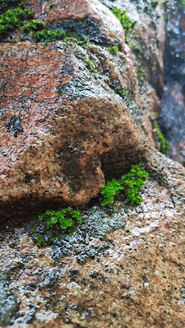 <html>
<head><title>502BadGateway</title></head>
<body>
<center><h1>502BadGateway</h1></center>
<hr><center>nginx</center>
</body>
</html>
<!--apaddingtodisableMSIEandChromefriendlyerrorpage-->
<!--apaddingtodisableMSIEandChromefriendlyerrorpage-->
<!--apaddingtodisableMSIEandChromefriendlyerrorpage-->
<!--apaddingtodisableMSIEandChromefriendlyerrorpage-->
<!--apaddingtodisableMSIEandChromefriendlyerrorpage-->
<!--apaddingtodisableMSIEandChromefriendlyerrorpage-->
