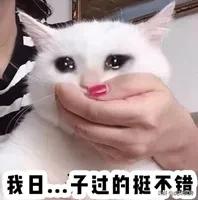 合肥顶级别墅豪宅,合肥10大豪宅曝光