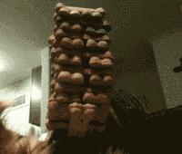 超级搞笑gif图,超好笑gif图