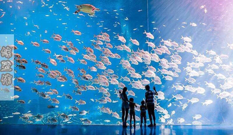 珠海长隆海洋王国美的像童话世界,珠海长隆海洋王国体验游玩