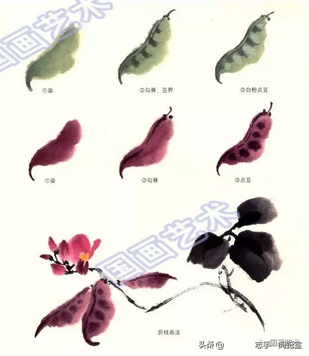 八种常见蔬菜画法,各种蔬菜画法