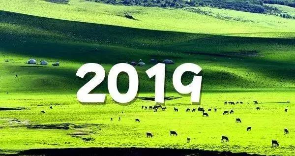 2019年男性挂历,2025年精美挂历