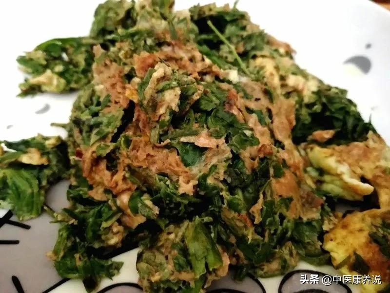 #药食同源篇#第七十六课“长寿草”艾叶