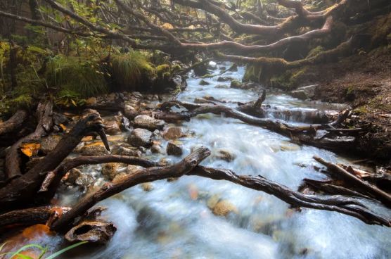 川内泡温泉的地方,日本十大温泉胜地推荐