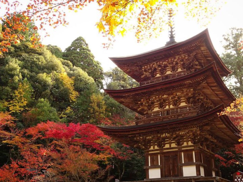 cnn评选出的日本最美的31个景点,cnn评选世界十大旅游地