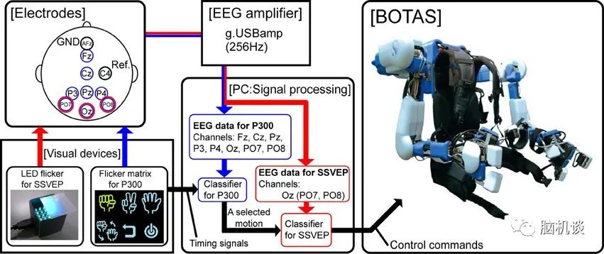 ​《脑机往事（3）—维达尔的秘密》