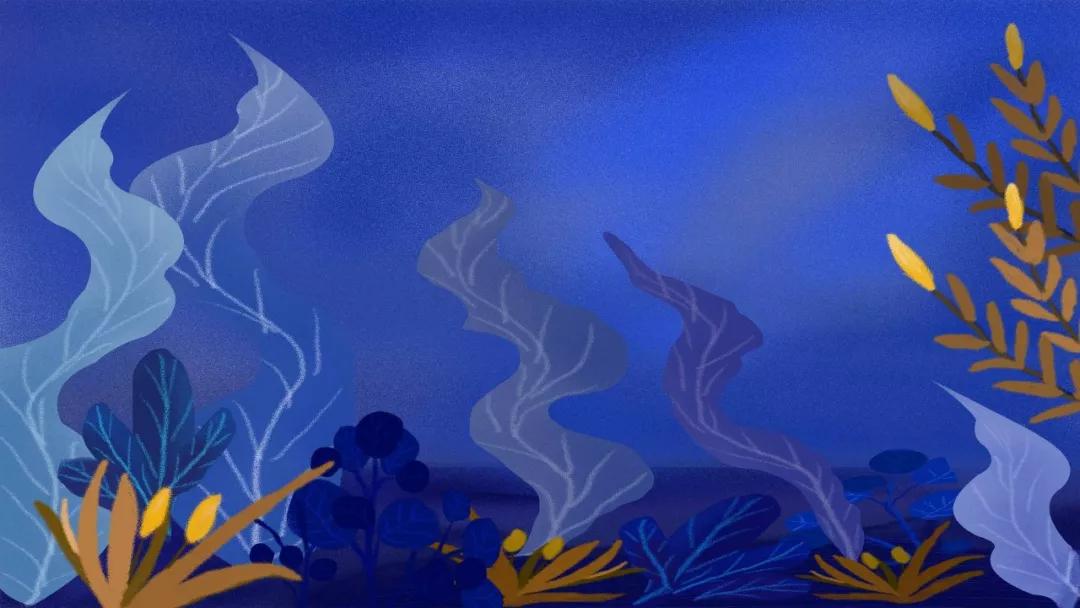 水草缸造景视频,水草缸要打氧吗