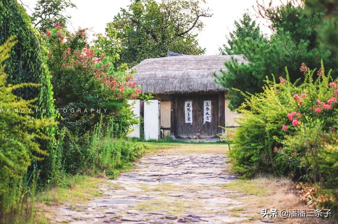 韩国有什么值得买的吃的,除了买买买还有什么活动