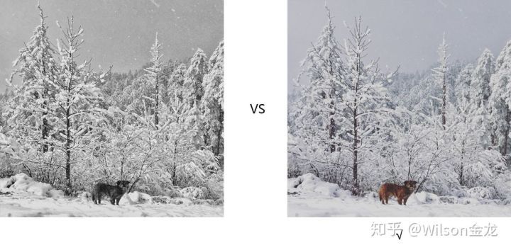 黑白照片变彩色是原来的颜色吗,为什么一点黑白照片就能变成彩色