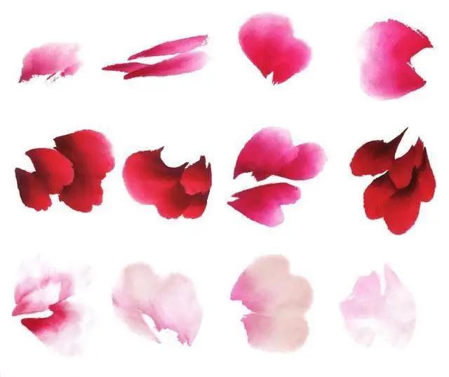 学习写意牡丹画的方法,学习写意牡丹画的步骤