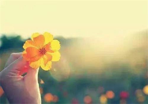 终于把自己熬成了一个孤单的人,终于把自己熬成了孤独的人