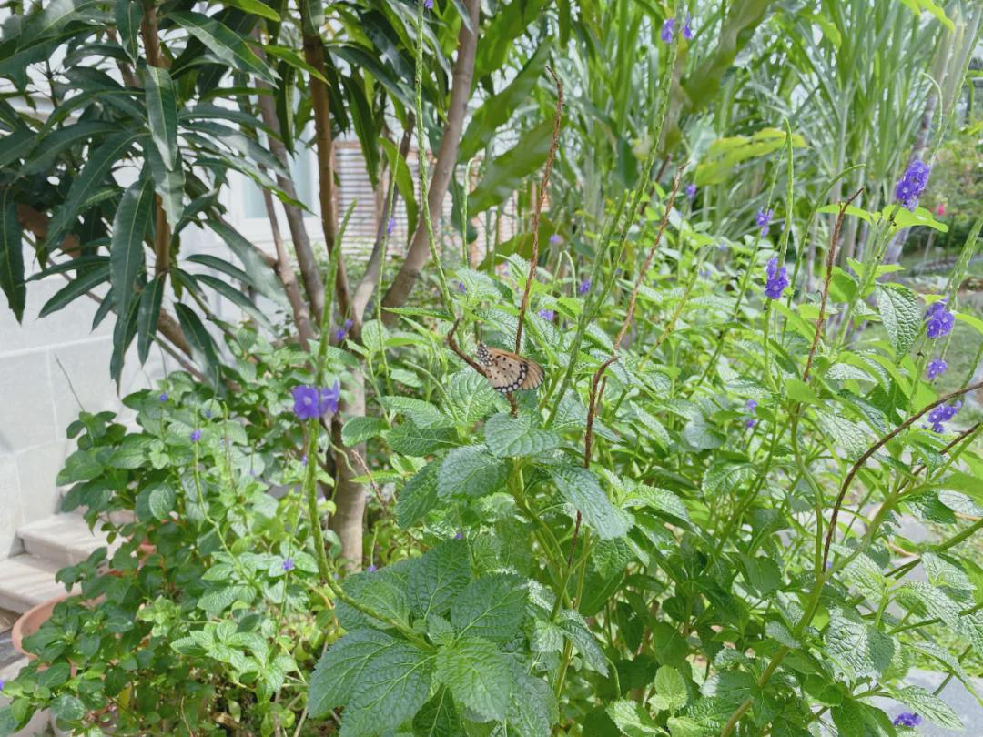 新加坡十大必住酒店,在新加坡住酒店多少钱