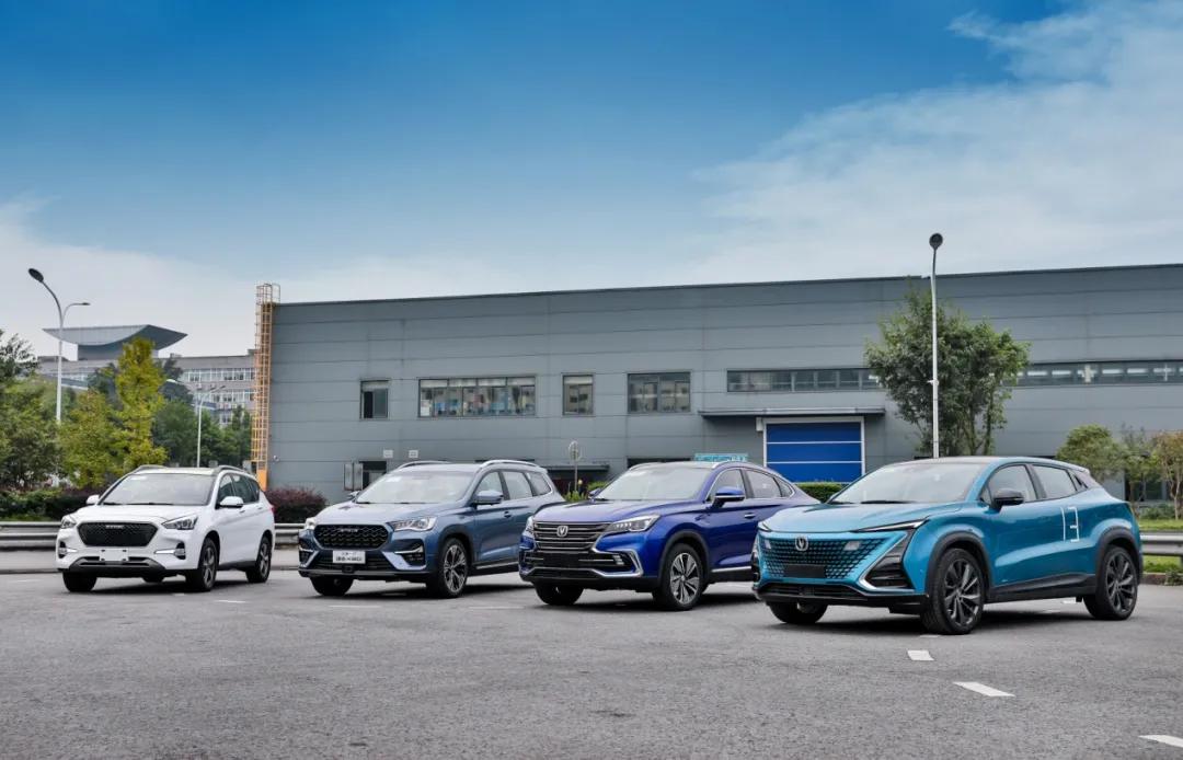 青山是一个什么样的人物,青山是什么人物