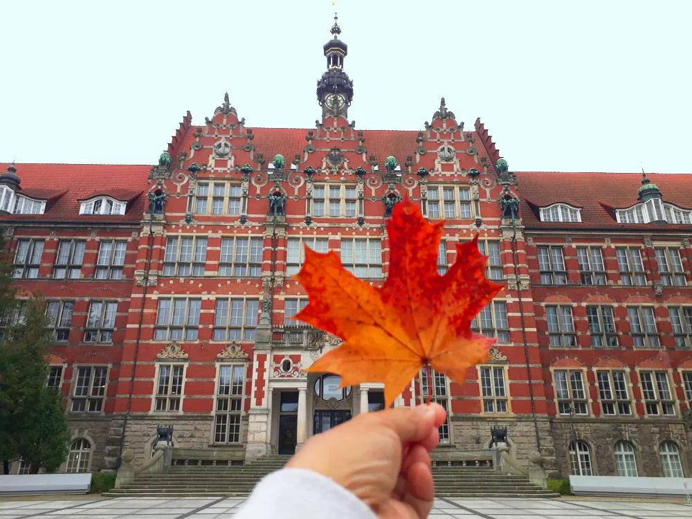 波兰大学专业排名,波兰有哪些著名的大学