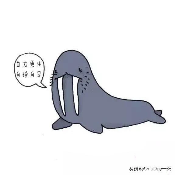 动物冷知识搞笑动画,搞笑动物冷知识22