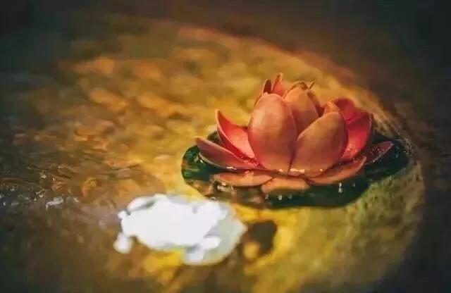 渡人渡己更难,渡人渡己为本