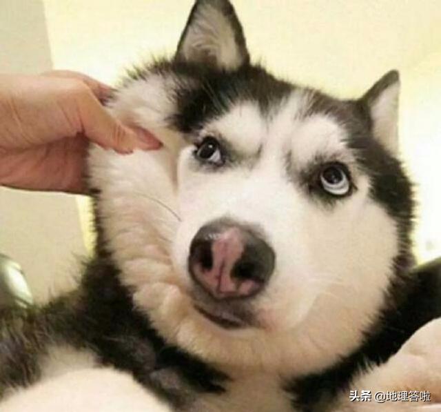 中国各省直辖市行政区特产,34个省级行政区特色介绍