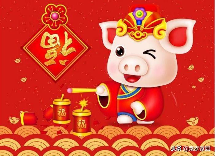 猪年歇后语大全100句,2019年有关猪的歇后语