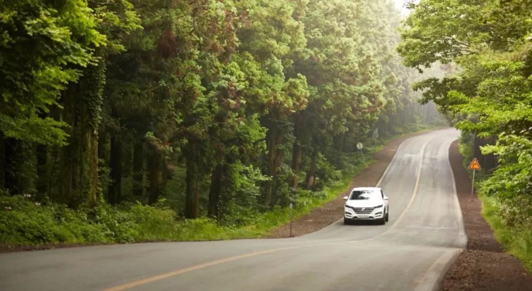 打HPV、考国际驾照、当练习生、看演唱会、泡夜店，这才是首尔