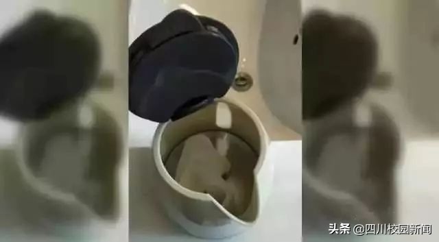 为什么住酒店要往马桶里倒壶开水,为什么住酒店时要烧开水倒马桶里