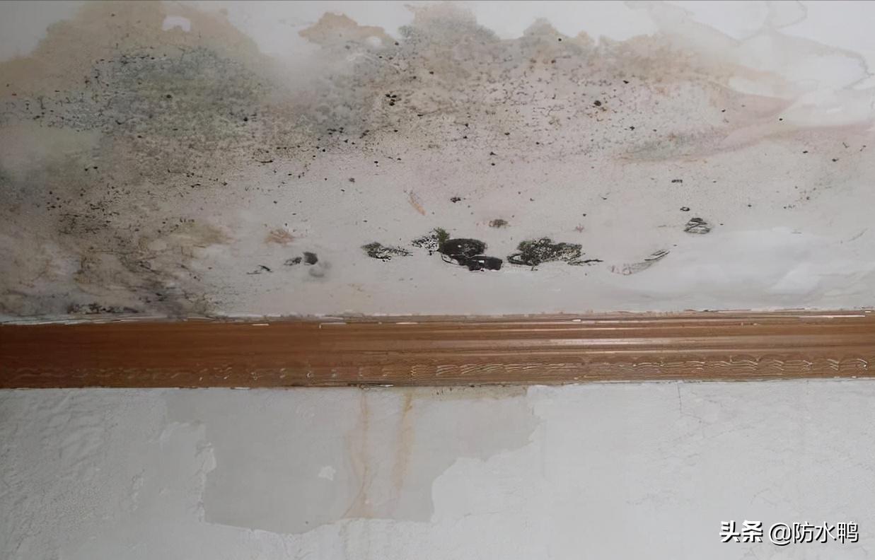 怎样做屋顶防水不会漏,目前屋顶防水最好的方法