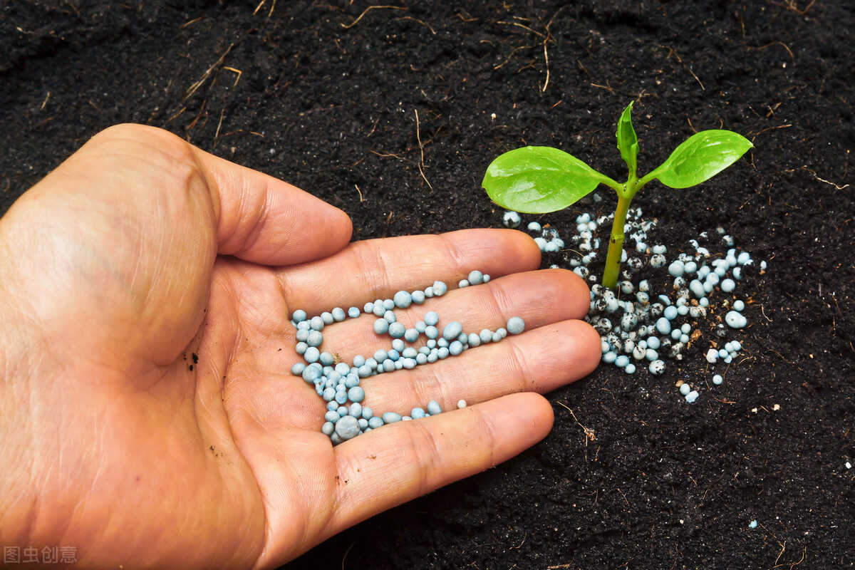 3个17的复合肥怎么检查真假,复合肥辨别真假扫二维码管用吗