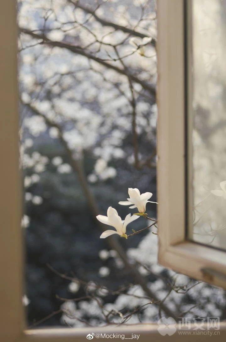 想见你，五彩缤纷的蓝田！「图」