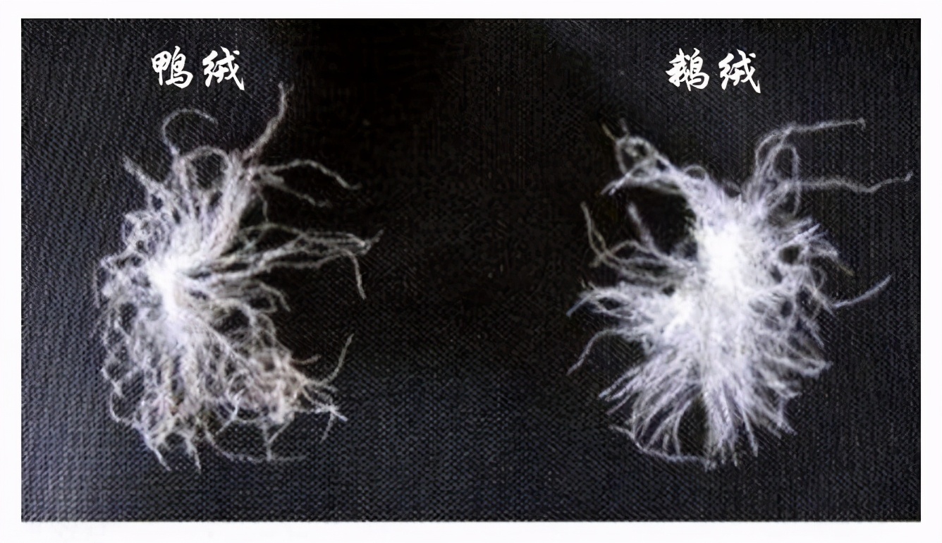 过年卖羽绒服怎么样,过年了挣钱买羽绒服