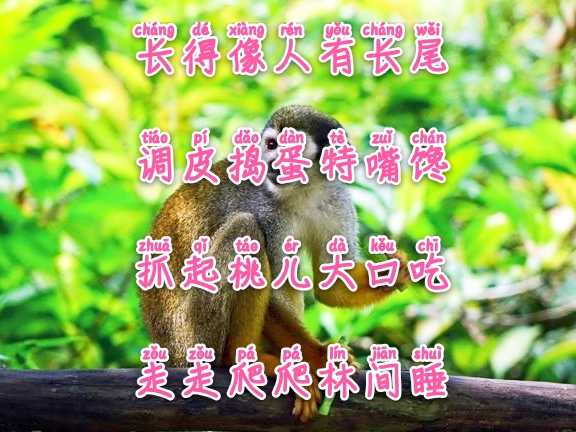 常与孩子猜谜100条儿童谜语建议,经典谜语清单让你的宝宝变聪明