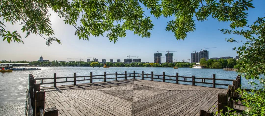 禹洲凤凰府,禹洲凤凰府最新消息今天