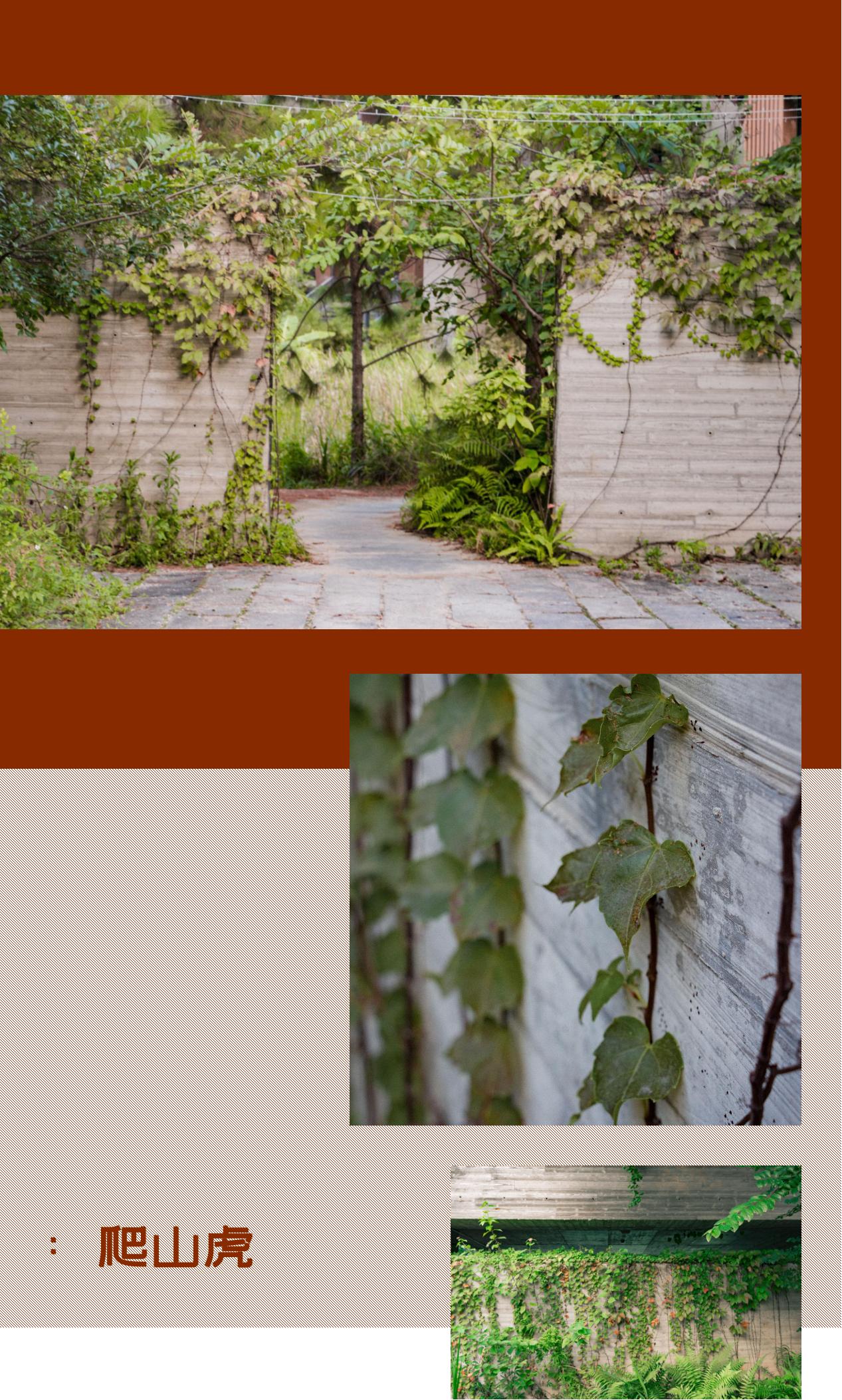 深圳宝安喝茶的世外桃源,宝安西乡世外桃源