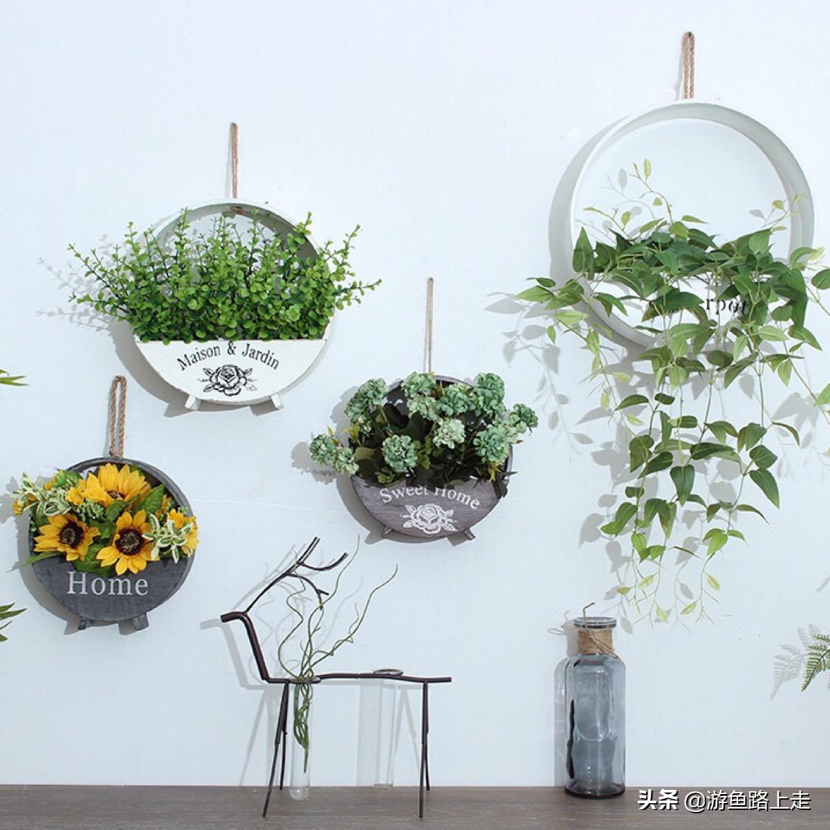 多肉植物整面墙效果图,室内多肉植物墙造型