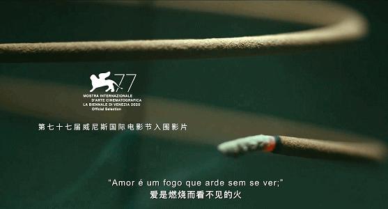 香艳、荒诞、堕落…这么绝的故事，拍不好我真心疼