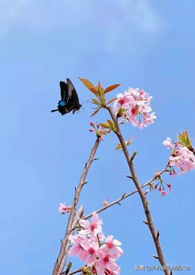 24-70拍人像使用技巧,24种手机拍摄技巧图片