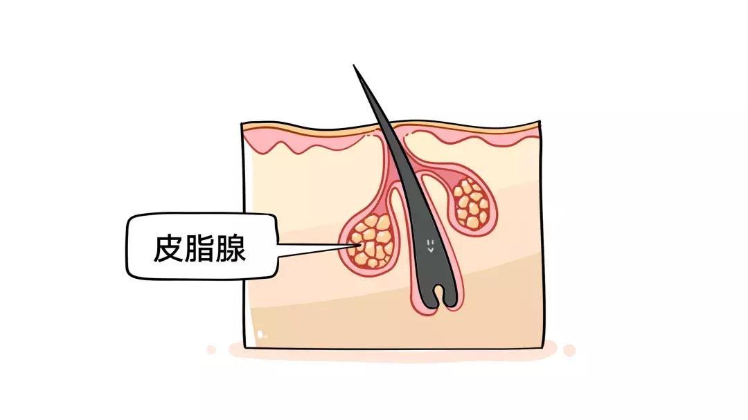 10年长痘经验,10年长痘趁早治