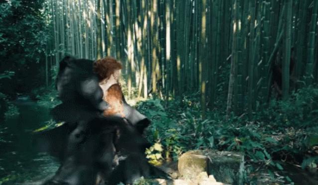 包下所有的豪车劳斯莱斯,包下整个奢侈品