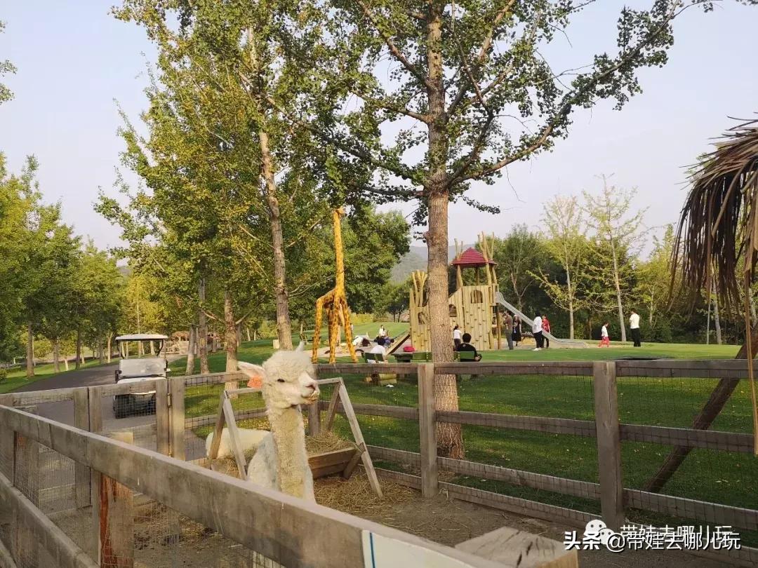 北京最有度假感的酒店，就在金海湖