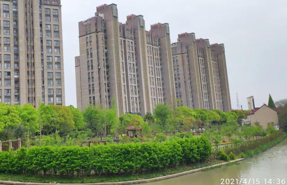 上海这个板块未来值得期待,上海的多肉品种