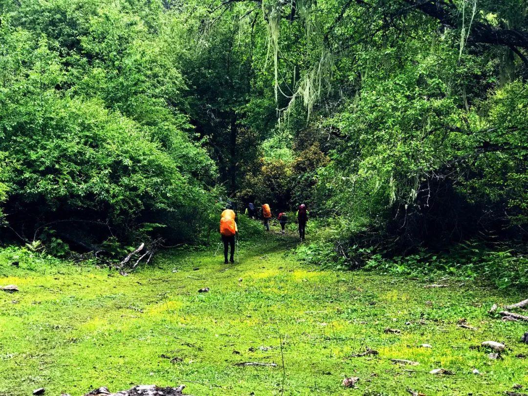 徒步新藏线什么时候开始,川藏线十大徒步路线